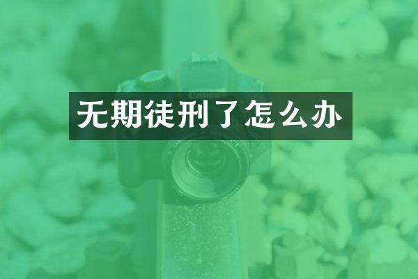 无期徒刑了怎么办