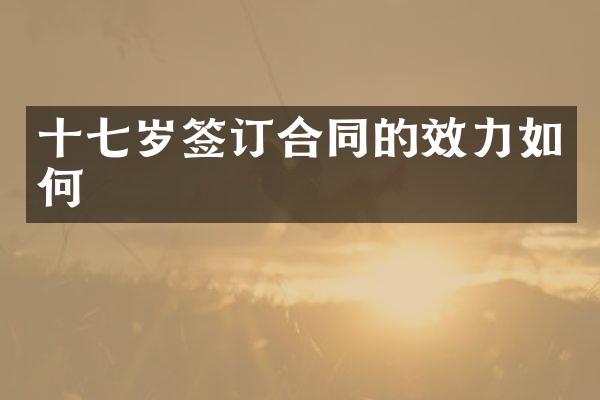 十七岁签订合同的效力如何