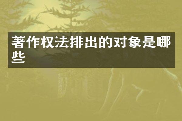 著作权法排出的对象是哪些