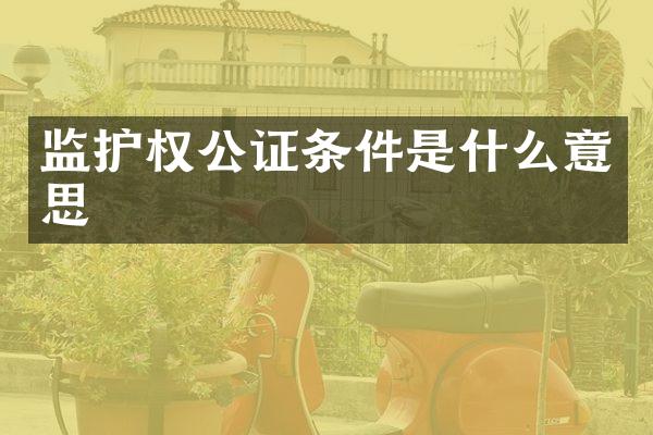 监护权公证条件是什么意思