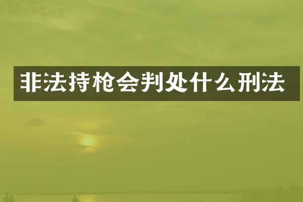 非法持会判处什么刑法