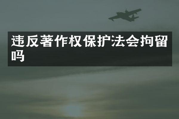 违反著作权保护法会拘留吗