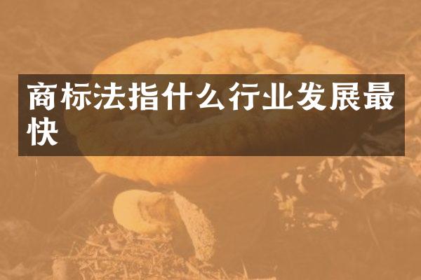 商标法指什么行业发展最快