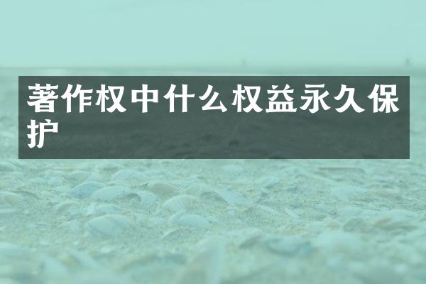 著作权中什么权益永久保护