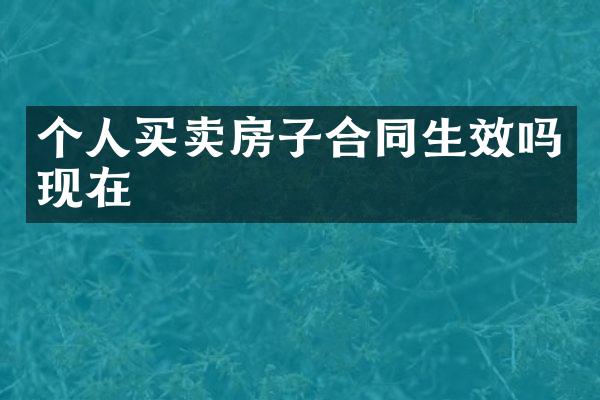 个人买卖房子合同生效吗现在