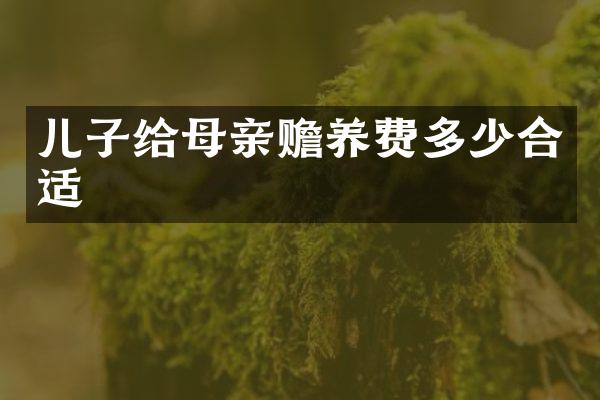 儿子给母亲赡养费多少合适