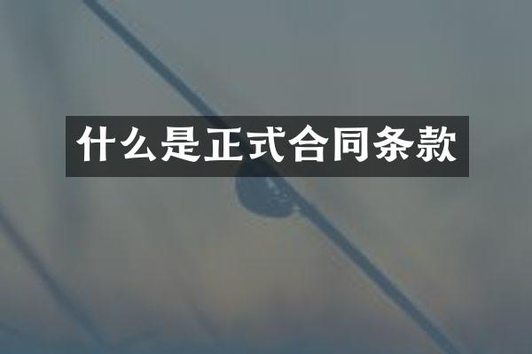 什么是正式合同条款