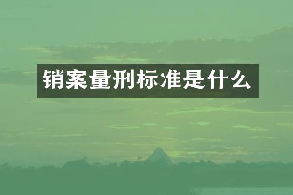 销案量刑标准是什么