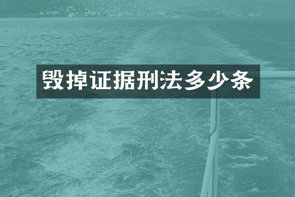 毁掉证据刑法多少条
