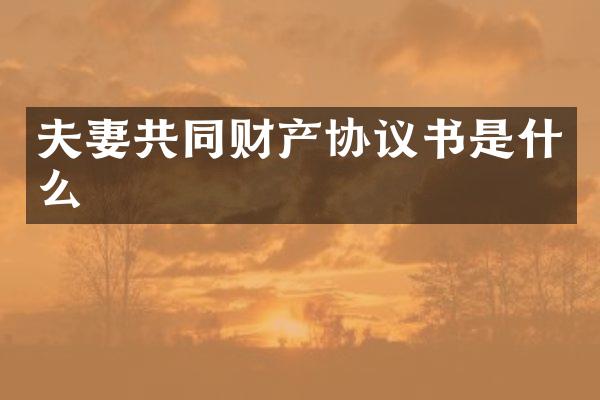 夫妻共同财产协议书是什么