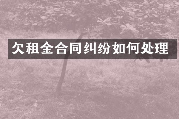 欠租金合同纠纷如何处理