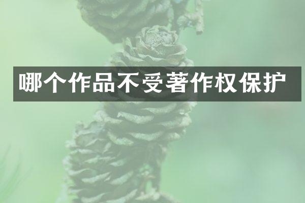 哪个作品不受著作权保护
