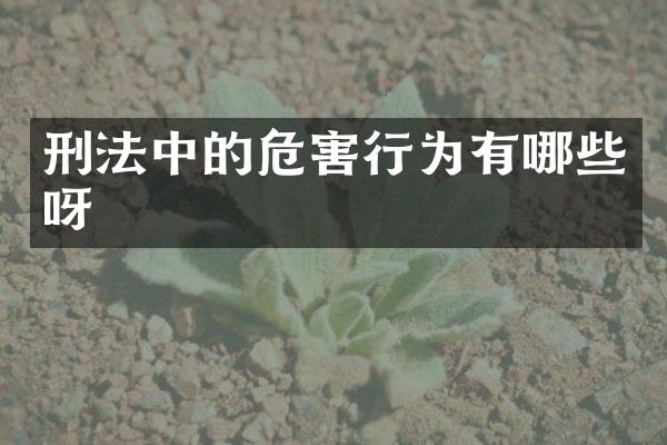 刑法中的危害行为有哪些呀