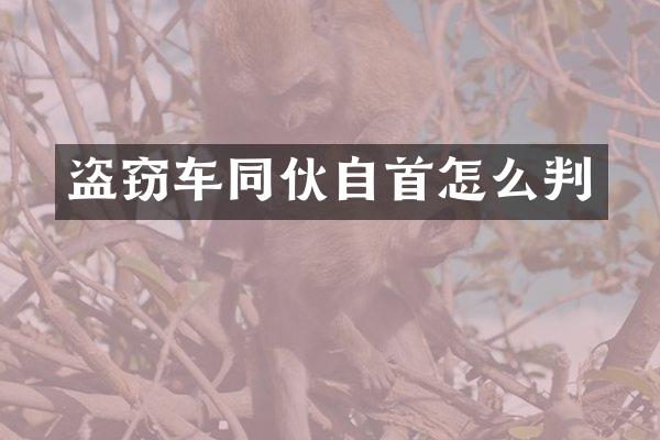 盗窃车同伙自首怎么判