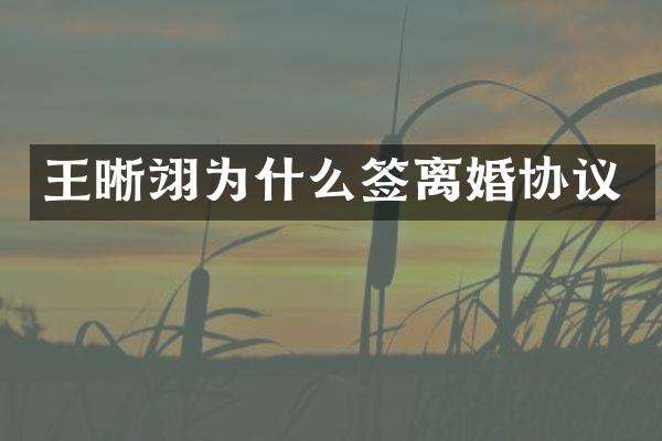 王晰翊为什么签离婚协议