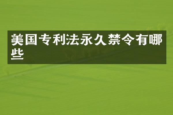美国专利法永久禁令有哪些