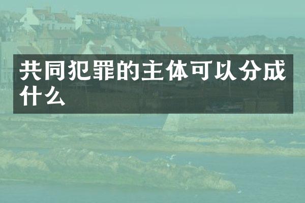共同犯罪的主体可以分成什么