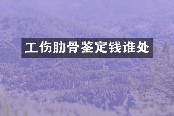 工伤肋骨鉴定钱谁处