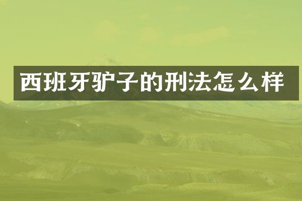 西班牙驴子的刑法怎么样