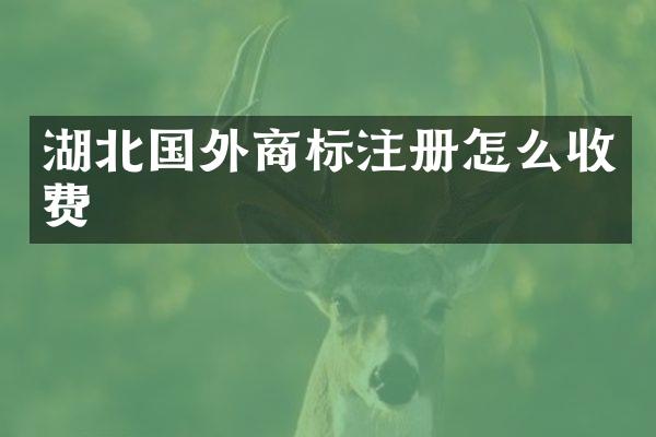 湖北国外商标注册怎么收费