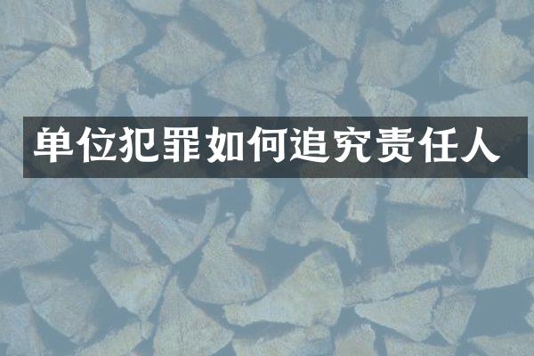 单位犯罪如何追究责任人
