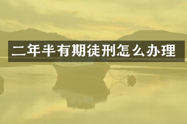 二年半有期徒刑怎么办理