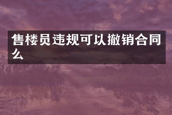 售楼员违规可以撤销合同么