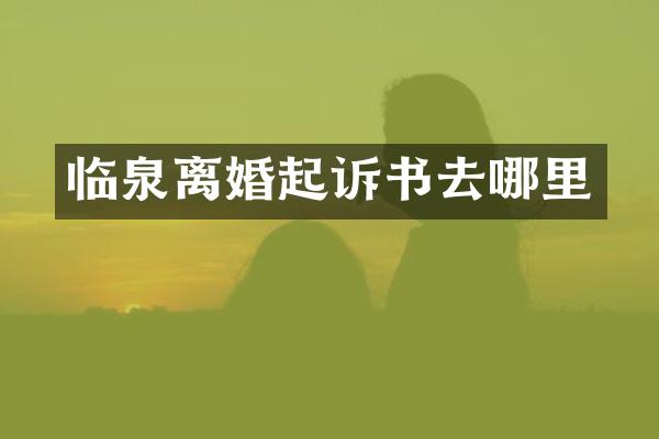 临泉离婚起诉书去哪里