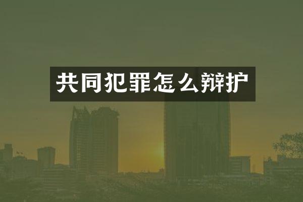 共同犯罪怎么辩护