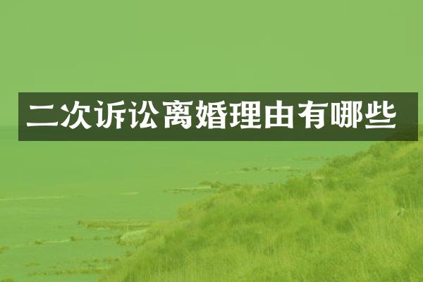 二次诉讼离婚理由有哪些