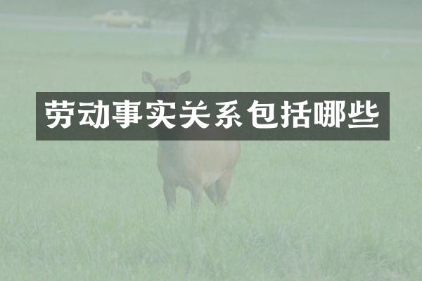 劳动事实关系包括哪些