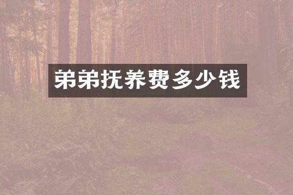 弟弟抚养费多少钱