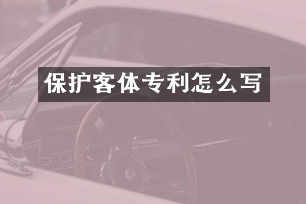 保护客体专利怎么写