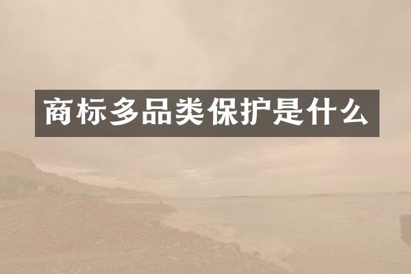 商标多品类保护是什么