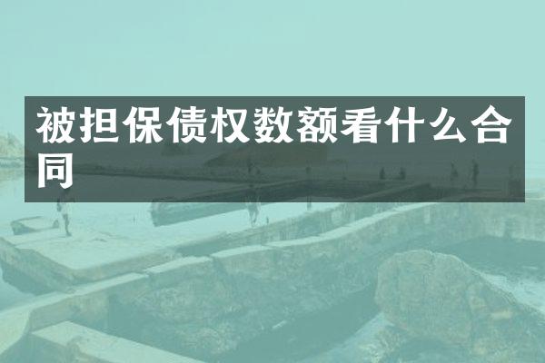 被担保债权数额看什么合同