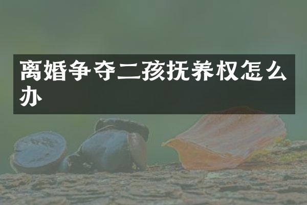 离婚争夺二孩抚养权怎么办