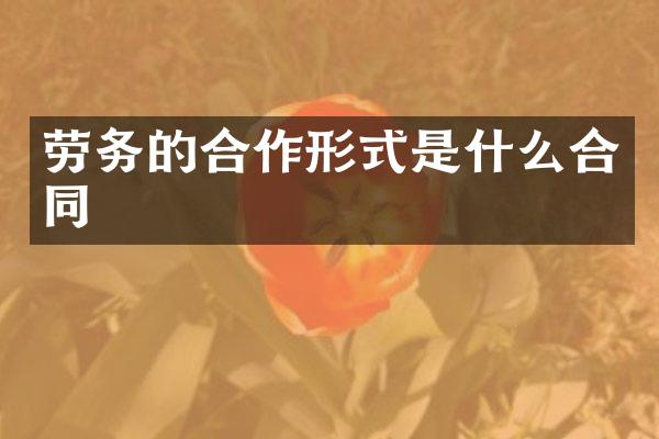 劳务的合作形式是什么合同