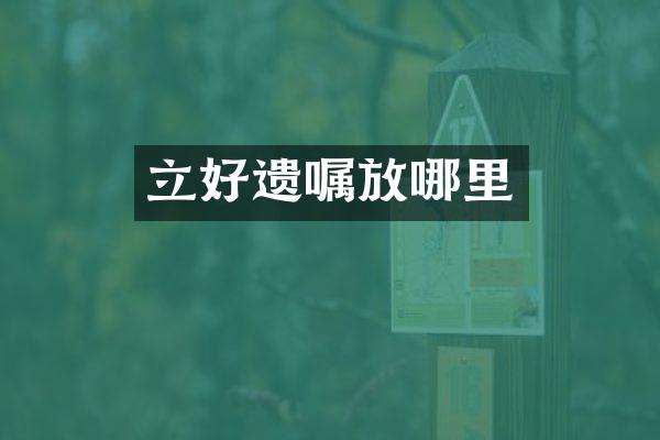 立好遗嘱放哪里