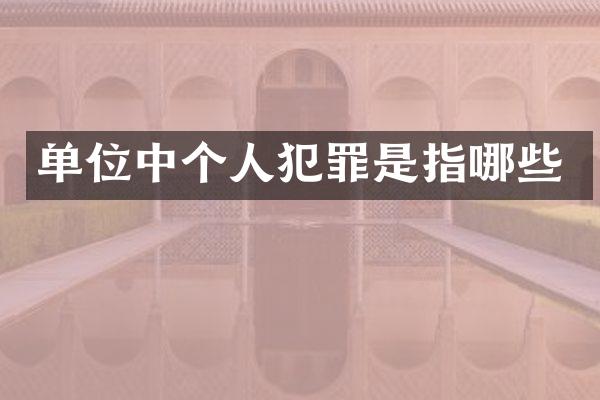 单位中个人犯罪是指哪些