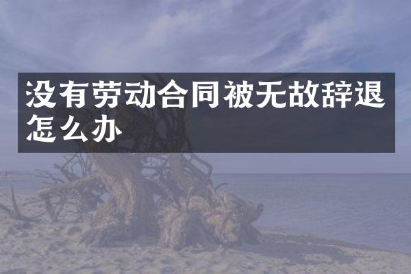 没有劳动合同被无故辞退怎么办