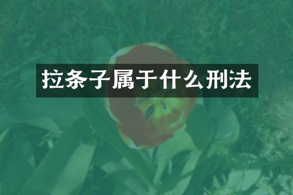 拉条子属于什么刑法