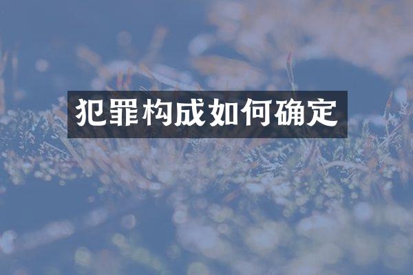 犯罪构成如何确定