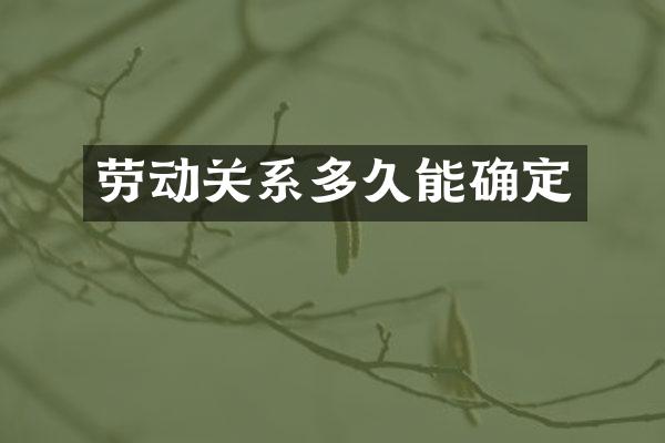 劳动关系多久能确定