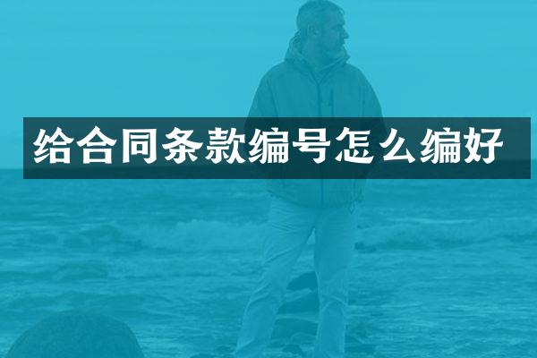 给合同条款编号怎么编好
