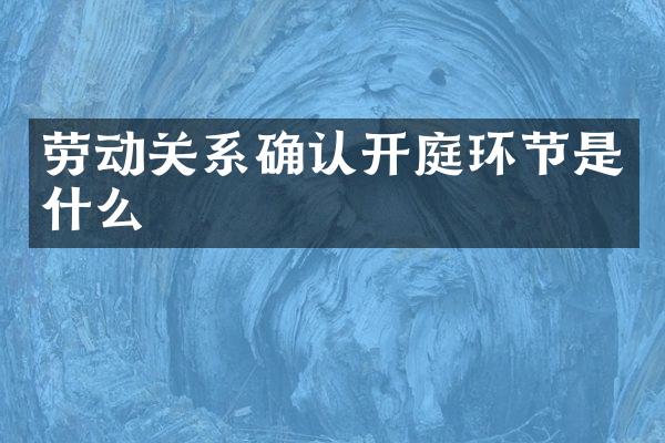 劳动关系确认开庭环节是什么
