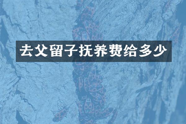 去父留子抚养费给多少