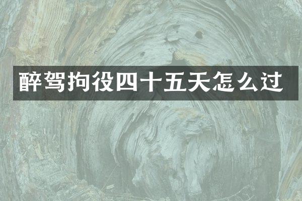 醉驾拘役四十五天怎么过