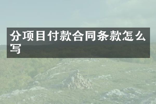 分项目付款合同条款怎么写