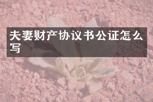 夫妻财产协议书公证怎么写