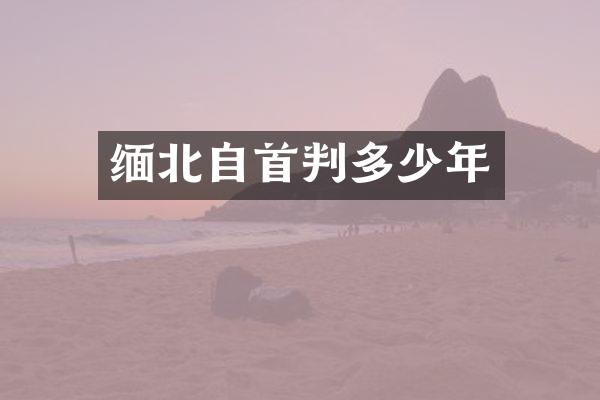 缅北自首判多少年